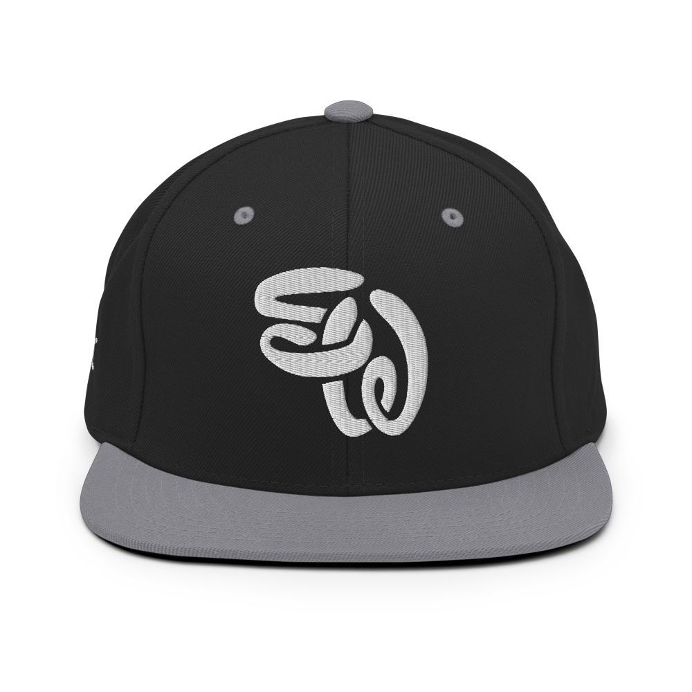 SW Initials Snapback Hat