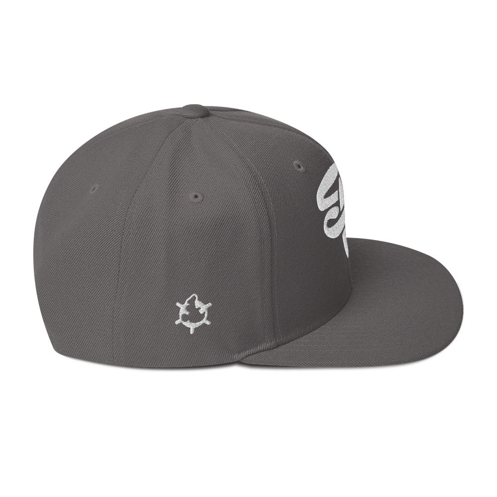 SW Initials Snapback Hat