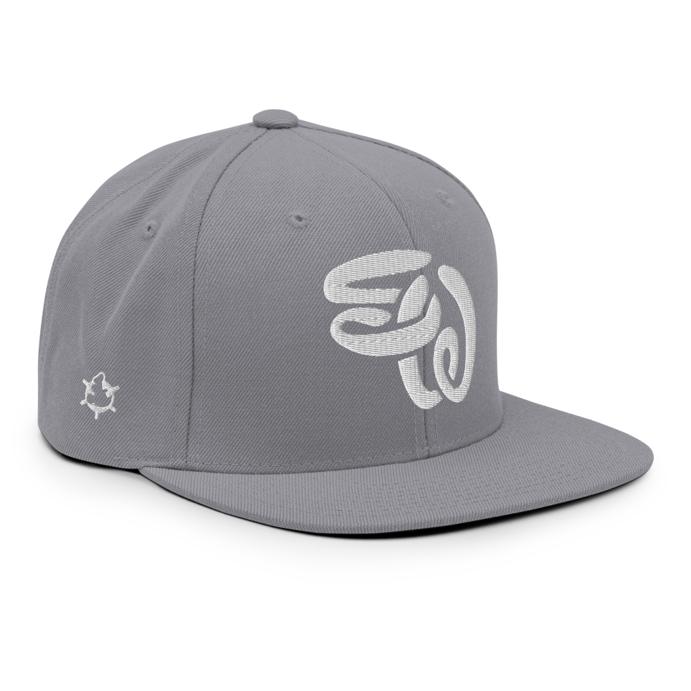 SW Initials Snapback Hat